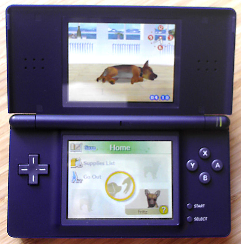 How To Get A Free Ds Lite